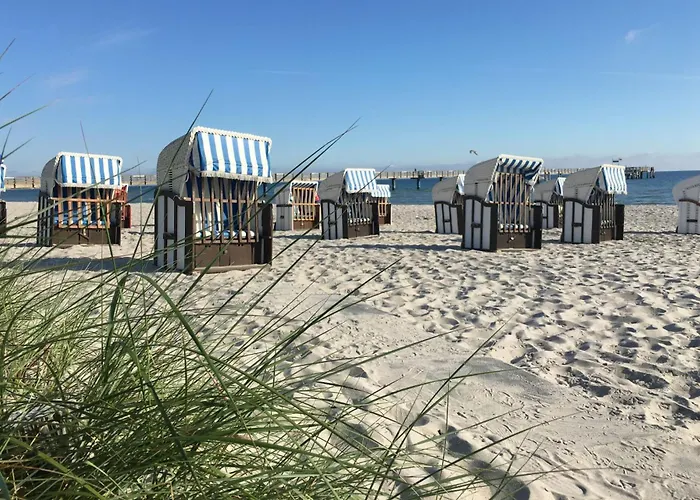 Likedeeler Whg Li26 *